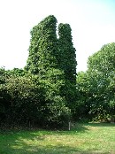 across the graveyard from St Mary