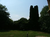 the view from St Mary's north porch