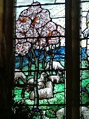 sheep may safely graze