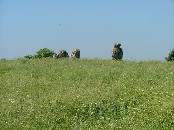 sitting on a hilltop