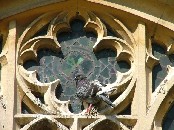 tracery III