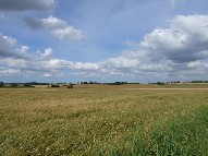 Flutter and bear him up the Norfolk sky