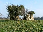 two broken flint walls boil with elder