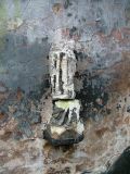 "I found a pathetic fragment of the statue of Our Lady in the rubble, and replaced it on its bracket..."