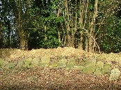 recovered gravestones laid out