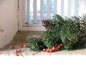 porch window (detail)