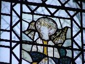 Mary, Queen of Heaven