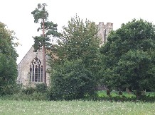 tree-surrounded in the fields