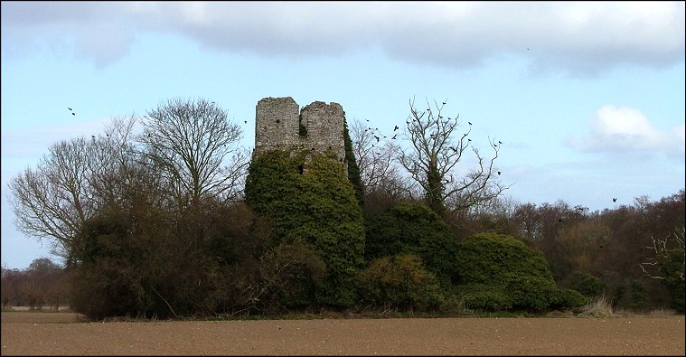 Burgh St Mary: this magnificent ruin