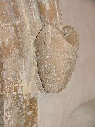 Bishop