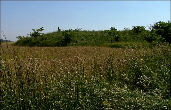 Caldecote: the mound where the church and its graveyard were.