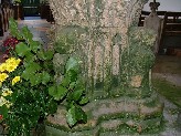 greening of the font