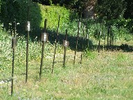 the nuns' graveyard