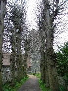 avenue