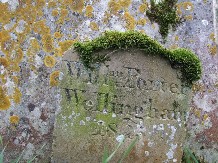 William Porter Wellingham