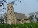 Thousands of daffodils spread around the church
