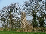 Off on a hill top, in a glade of bare trees