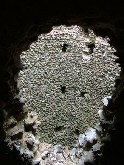 near the top - a view into the tower from the tower stairs