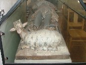 Sir Robert du Bois's buck