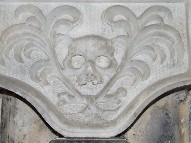 skull