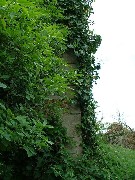 north-east buttress of chancel