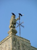 lion and jackdaws