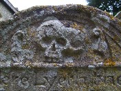 skull