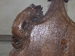 chameleon