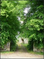 The lime trees begin to enclose...