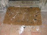 Owl pellets on the doormat