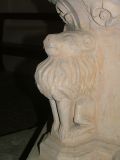 Superior little lion