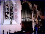 photo by Peter Stephens - click to enlarge
