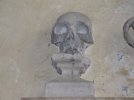 skull