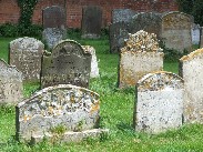 gravely read the graves