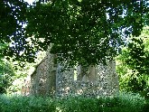 2005: first sight. The base of the tower through a wall of green.