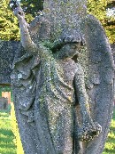 angel