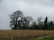 from the road