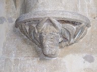 horned beast