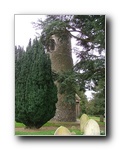 The tower