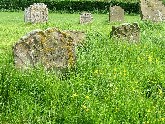 if only that so many dead lie round