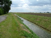 great, straight - the lane and the dyke