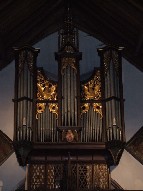 organ