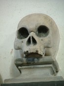 skull