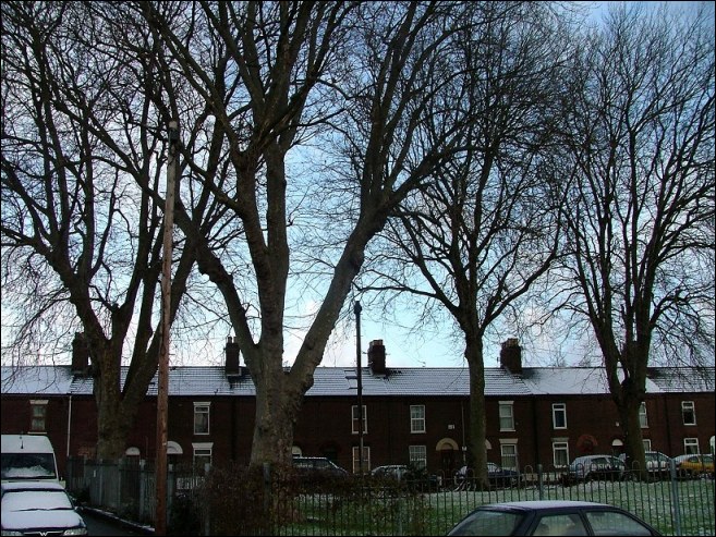 St Paul: the former graveyard trees now line a city square