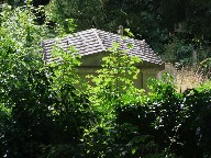 Cooper mausoleum (August)