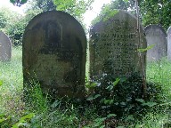 dappled shadows on Victorian sentiment