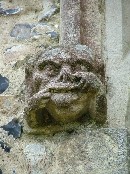 a grotesque little head