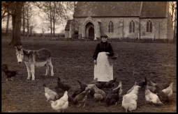 Oxwick a century ago