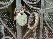 that ugly padlock