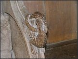 Knotted dragon